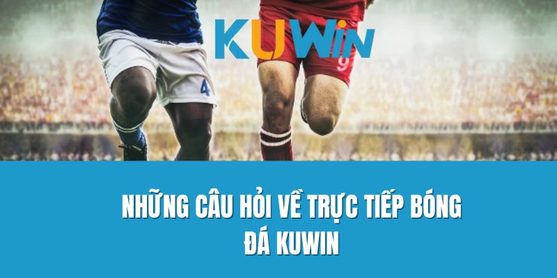 Những Câu Hỏi Về Trực Tiếp Bóng Đá Kuwin